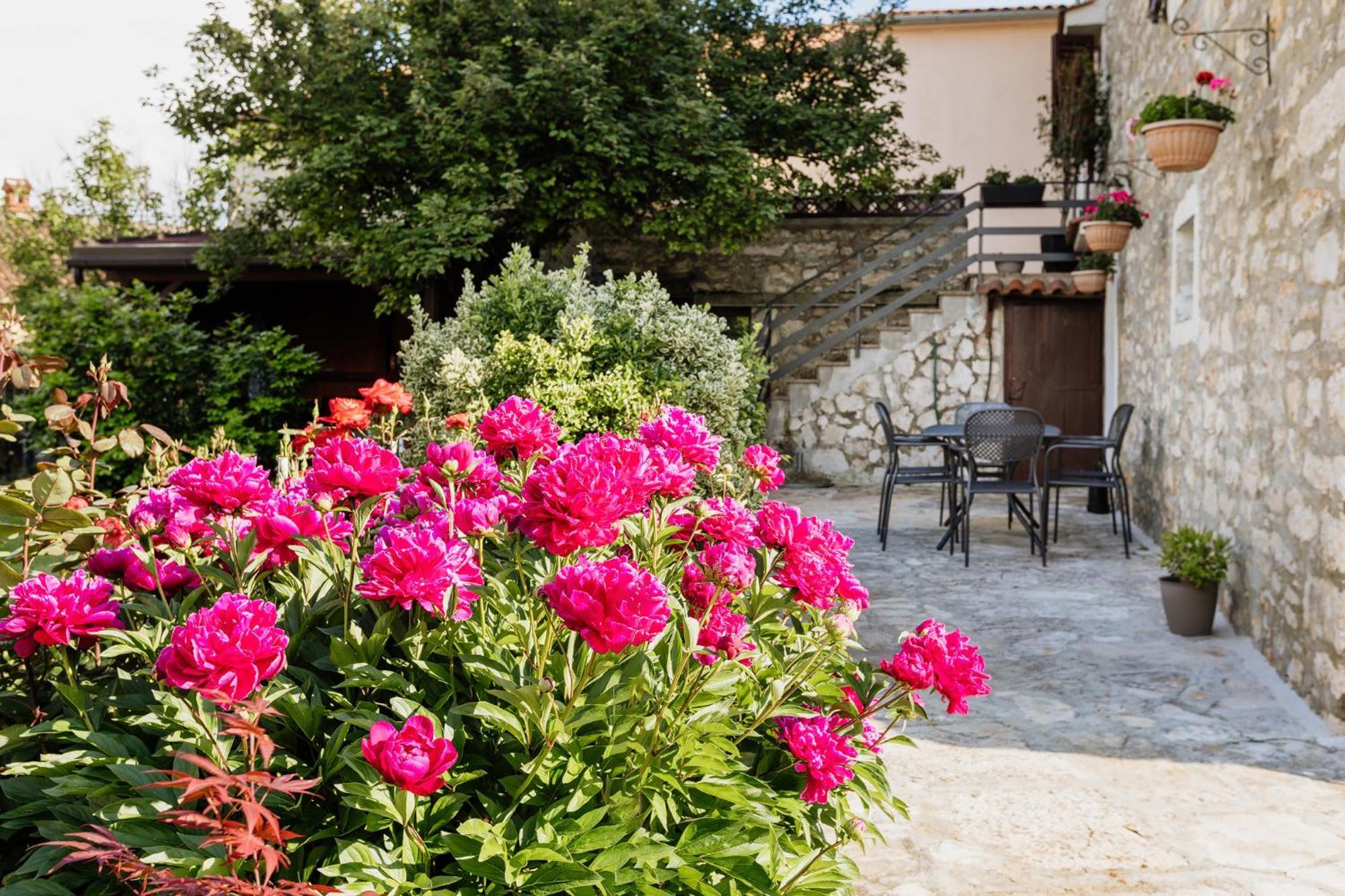 Apartments Mirna Stress Free Babici Экстерьер фото